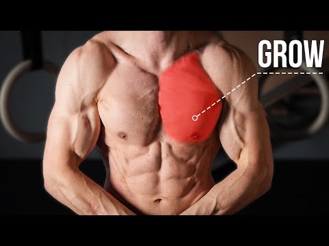 The Most Brutal Chest Workout