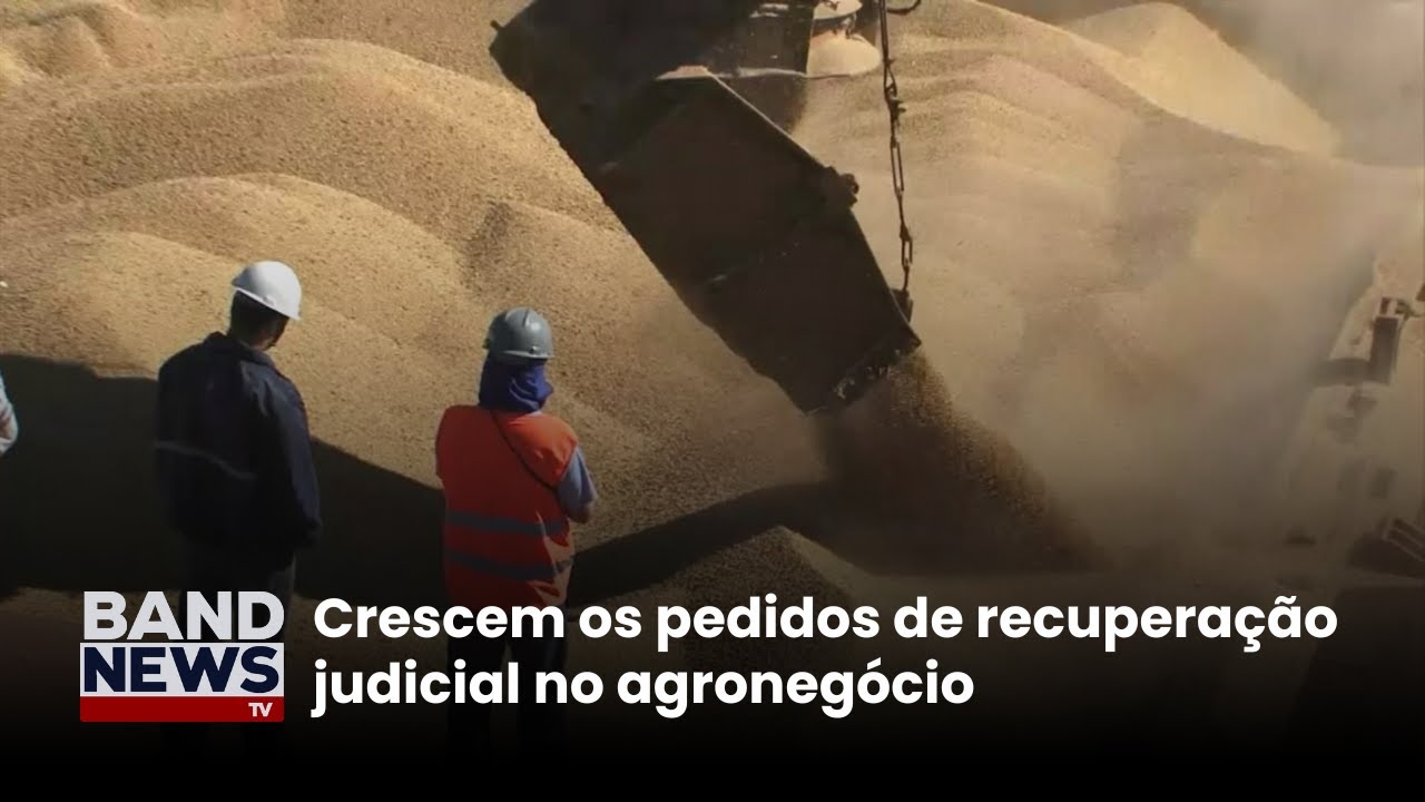 Crescem os pedidos de recuperação judicial no agronegócio| BandNews TV