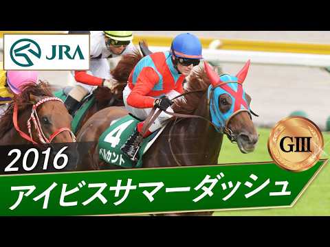 2016年 アイビスサマーダッシュ(GⅢ) | ベルカント | JRA公式