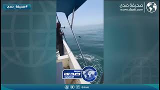 تيوس وسط البحر