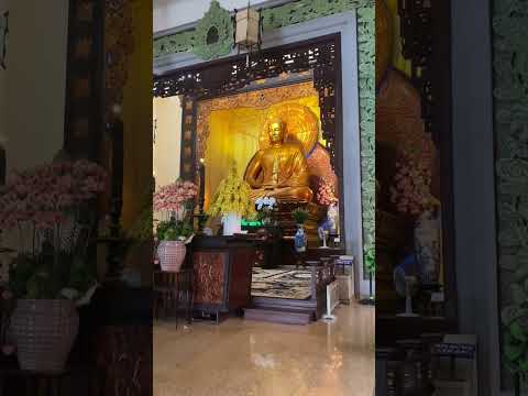 HÃY LÀ HÒN ĐẢO CỦA CHÍNH MÌNH