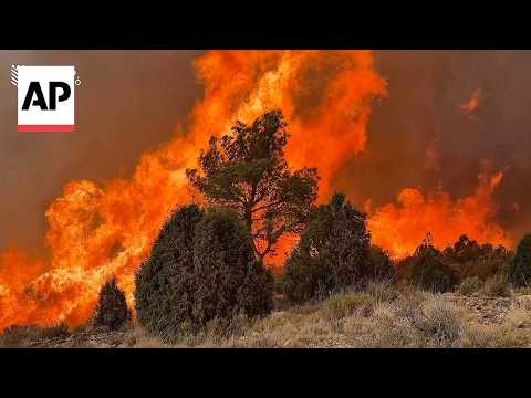 Violent wildfire in eastern Spain prompts evacuation of 1,000 residents