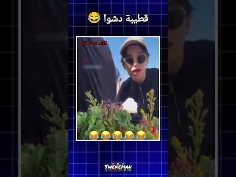 قطيبة دشوا 🤣