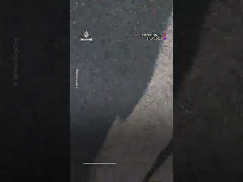 Live video captures panic as gunman opens fire at park in Kentucky