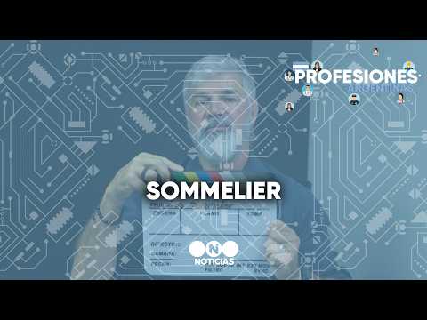 Profesiones Argentinas: SOMMERLIERS #TelefeNoticias