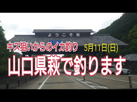 【5/11(日)エギング】萩での釣りは…