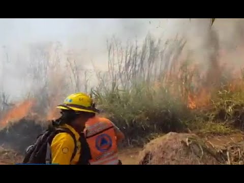 Bomberos trabajan para sofocra incendio forestal cerca del Lago de Atitlán