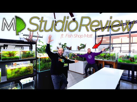 MD Studio After 2 Months_ with Fish Expert Review  👇👇MD MERCH CLICK HERE👇👇: 
FULL SHOP_ https_//md-fish-tanks.creator-spring.com

In this v
