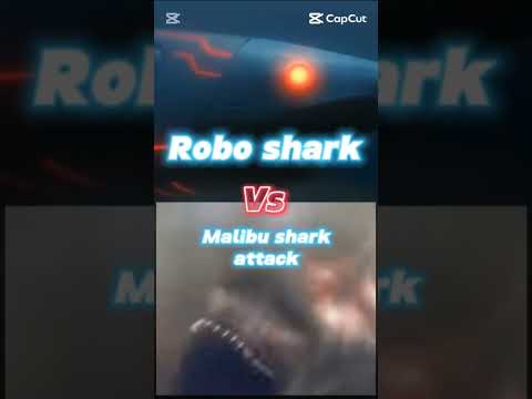 shark royal part 4