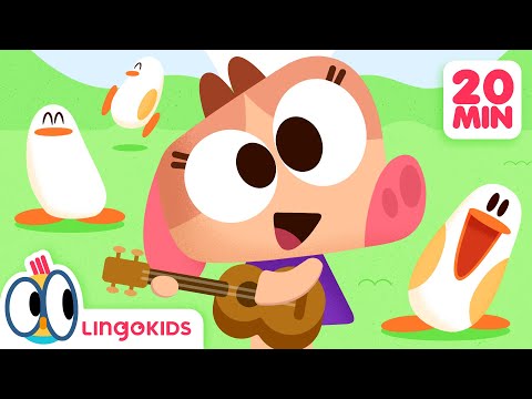 Let’s Play Outdoor Songs! 🎵🌞 Songs for Kids | Lingokids