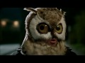 Captain Night Owl