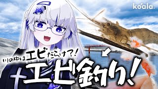 【テナガエビ】かまぼこの欠片だけでエビが大漁？！素揚げにしたらおいしすぎた！！【VEE/亞生うぱる】