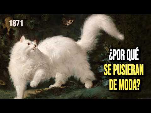 ¿Qué pasó en 1871 para que los gatos se pusieran de moda?