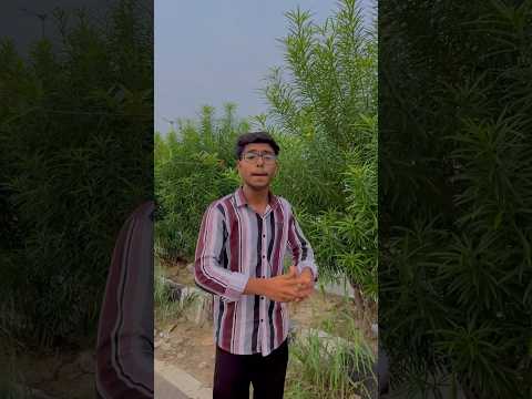 Organic vs paid marketing 🖥️ @ab digital solution  #digitalmarketing #organic #paid #marketing