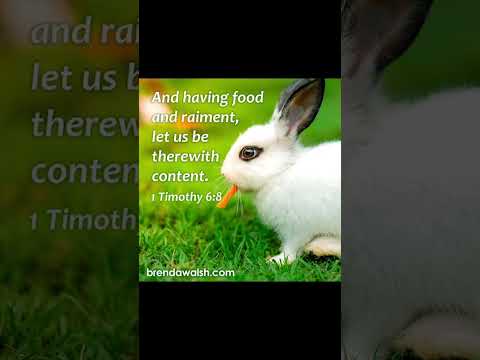 #worshipmusic #gospelmusic #christianmusic #music  #christiansongs #dailybibleverse #cute }bunny