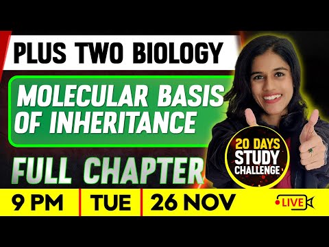 Plus Two Biology | Molecular Basis of Inheritance  | Full Chapter | Exam Winner