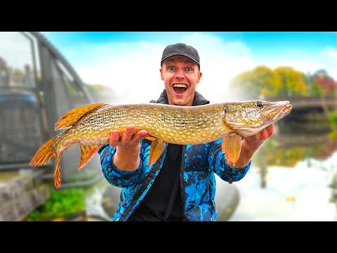 EnzoKnol