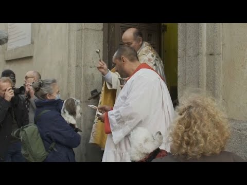 Bautismo de mascotas en Madrid por San Antón, patrón de los animales
