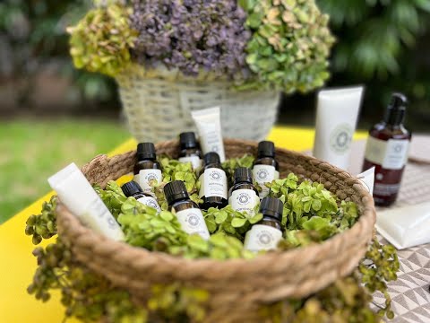 ¿Cuáles son los beneficios del aceite de la hortensia?