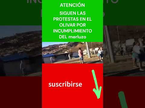 PROTESTAS SIGUEN EN EL OLIVAR POR INCUMPLIMIENTO DEL #merluzo
