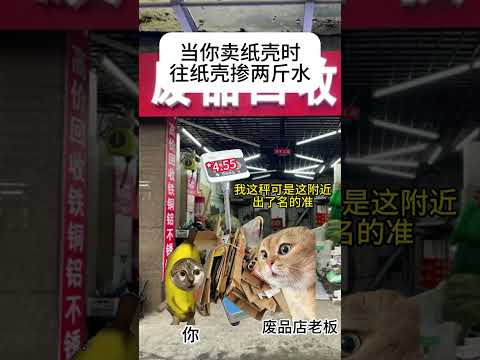 猫の動画サムネイル - 当你卖纸壳时往里面掺两斤水#有趣 #猫meme #猫meme剧场 #内容过于真实  #故事 #貓 #猫猫meme小剧场 #喵不可言