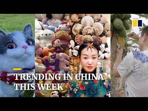 Trending in China:  A ‘reunion’ with deceased pets, and more