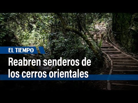 Se reabren tres senderos de los cerros orientales en Bogotá | El Tiempo