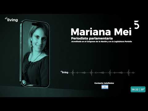 A pocos días de la asunción presidencial de Javier Milei charlamos con la periodista Mariana Mei