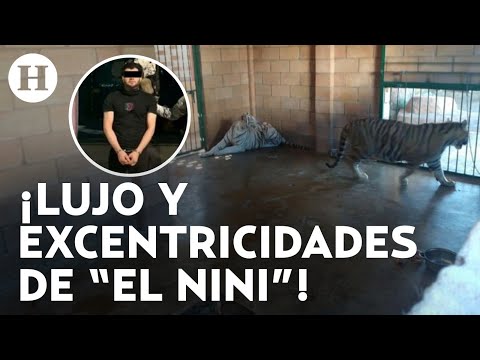 ¿Quién es 'El Nini'? El jefe de seguridad de Los Chapitos detenido en Sinaloa