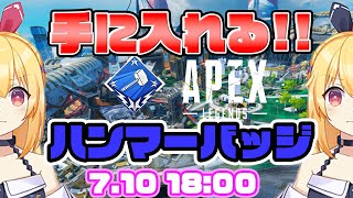 【APEX】とりあえず【青海ティア / TIF公式バーチャルアイドル】
