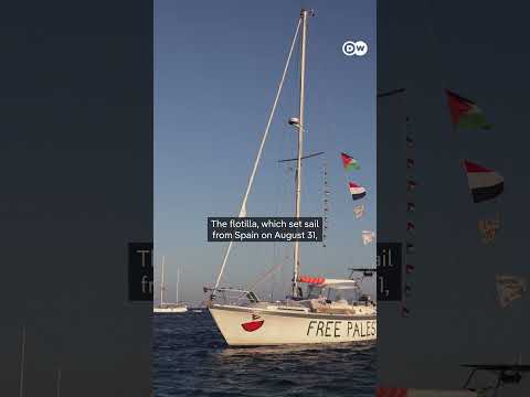 Israel's interception of Gaza aid flotilla sparks protests worldwide |  DW News