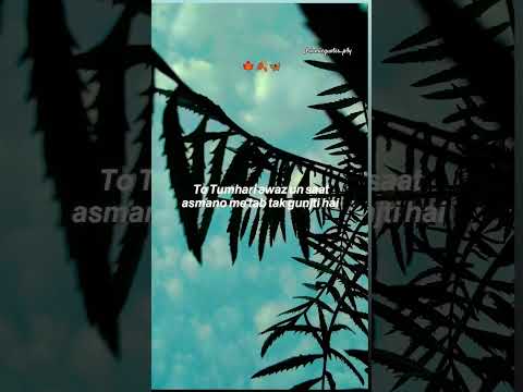 jab tum darad ki halat me allah ko pukarte hona #islamicquotes_p4y #viralvideo #viralshorts