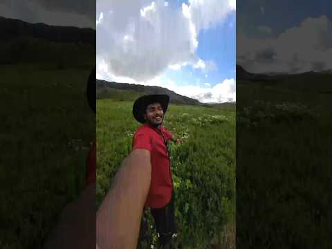 dzokou valley mini vlog/all details budget trip🔥#minivlog #youtubeshorts #dzukouvalley