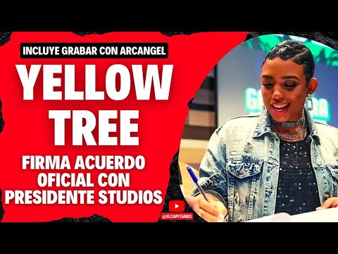 Yellow Tree firma acuerdo con Presidente Studios y grabará con Arcángel