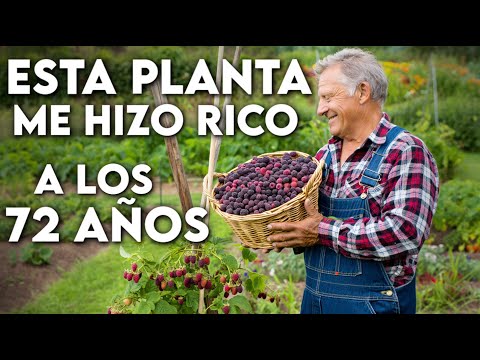 10 Plantas FRUTALES que TRIPLÍCAN tu SUELDO y Nadie esta vendiendo ahora 2026