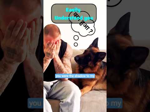 Why your जर्मन शेफर्ड Dog is a best friend Forever!🐾||#shorts