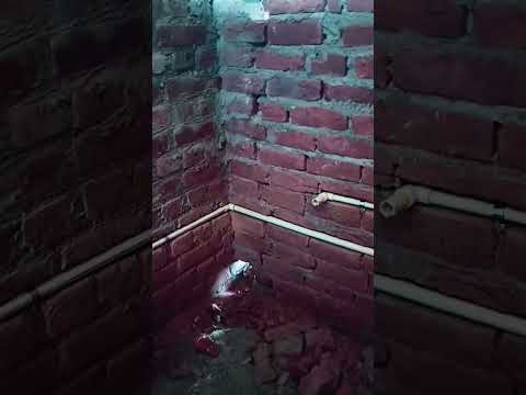 wall mixer fitting #cpvc pipe #shorts #subscribe