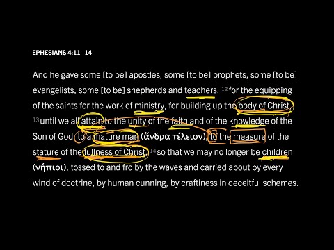 How Is the Church a Mature Man? Ephesians 4:11–14, Part 9