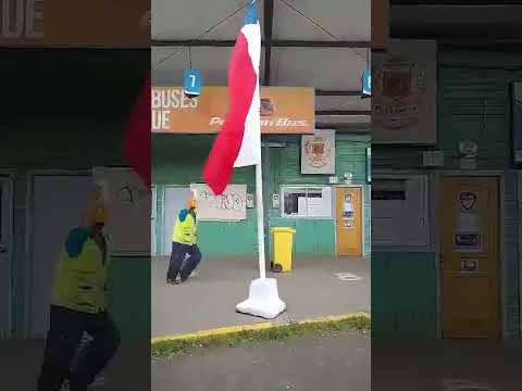 Recolector se luce con cueca a la bandera chilena en Purranque