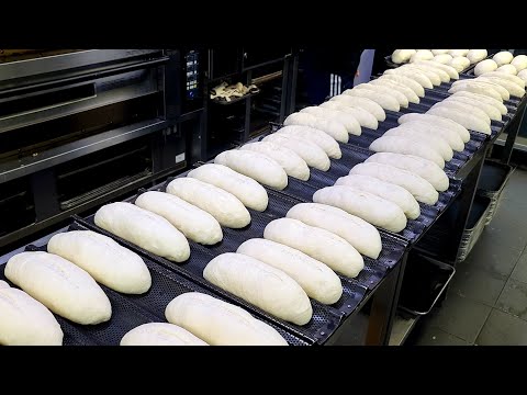 A collection of the popular Korean bread making process 전국 유명한 빵집의 대표 빵들 모음! - Korean street food