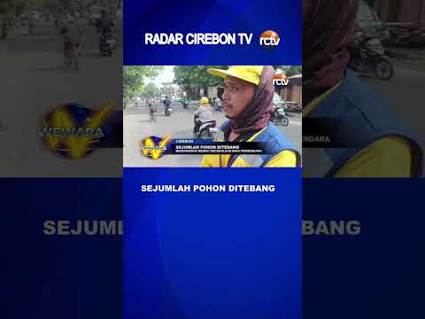 Sejumlah Pohon Ditebang
