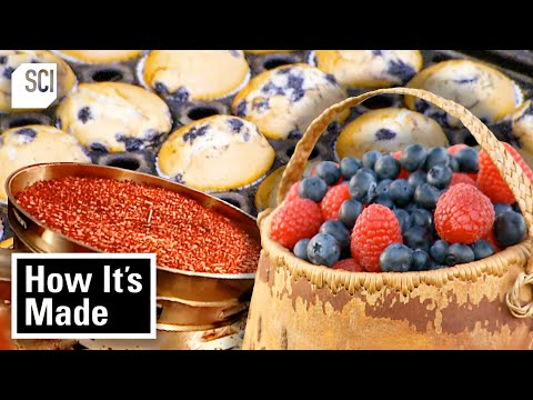 How Cranberries, Blueberries, Berry Baskets, and More Are Made! | How It’s Made | Science Channel