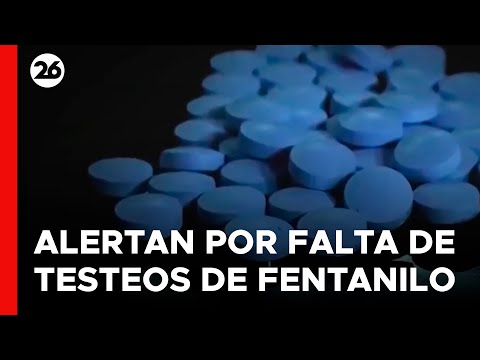 LATINOAMÉRICA | Alertan por la ausencia de testeos de fentanilo