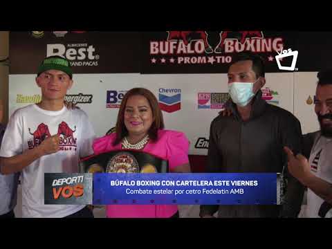 DEPORTIVOS || Búfalo Boxing presenta la cartelera para el combate por el cetro Fedelatin AMB