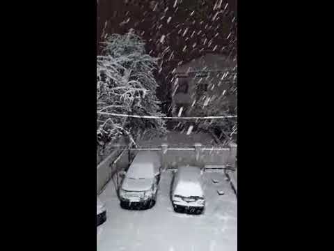 Стрийська зима
