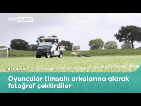 Toronto oyuncularının antrenmanına “timsah” geldi