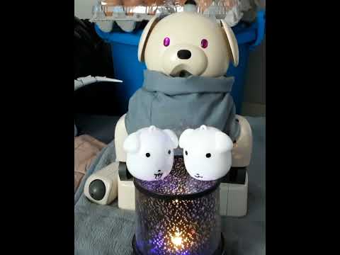 Aibo ❤️ Puppy Figure ❤️ Star Lamp