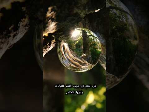 اللون الأخضر مفيد لصحة النفسية أكثر مما تتوقع 💚😌