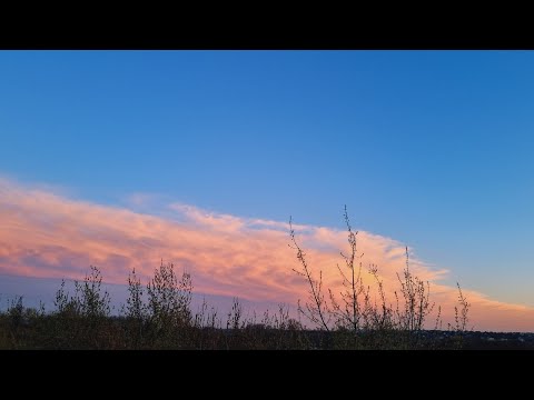 Подмосковье. Кваканье лягушек с видом на Москву-реку. Frogs croaking with a view of the Moskva River