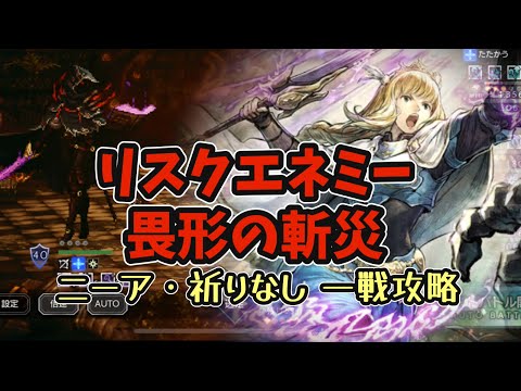 #170【オクトラ大陸の覇者】リスクエネミーに属性パーティーで挑戦!